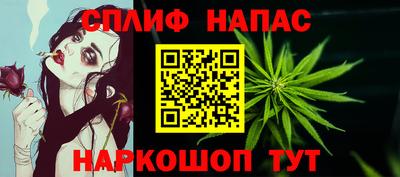 шишки Можайск